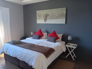 Cape Robin guest house kitchenette room in Greytown