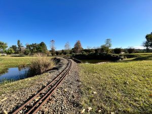 Albert Falls Greytown Accommodation